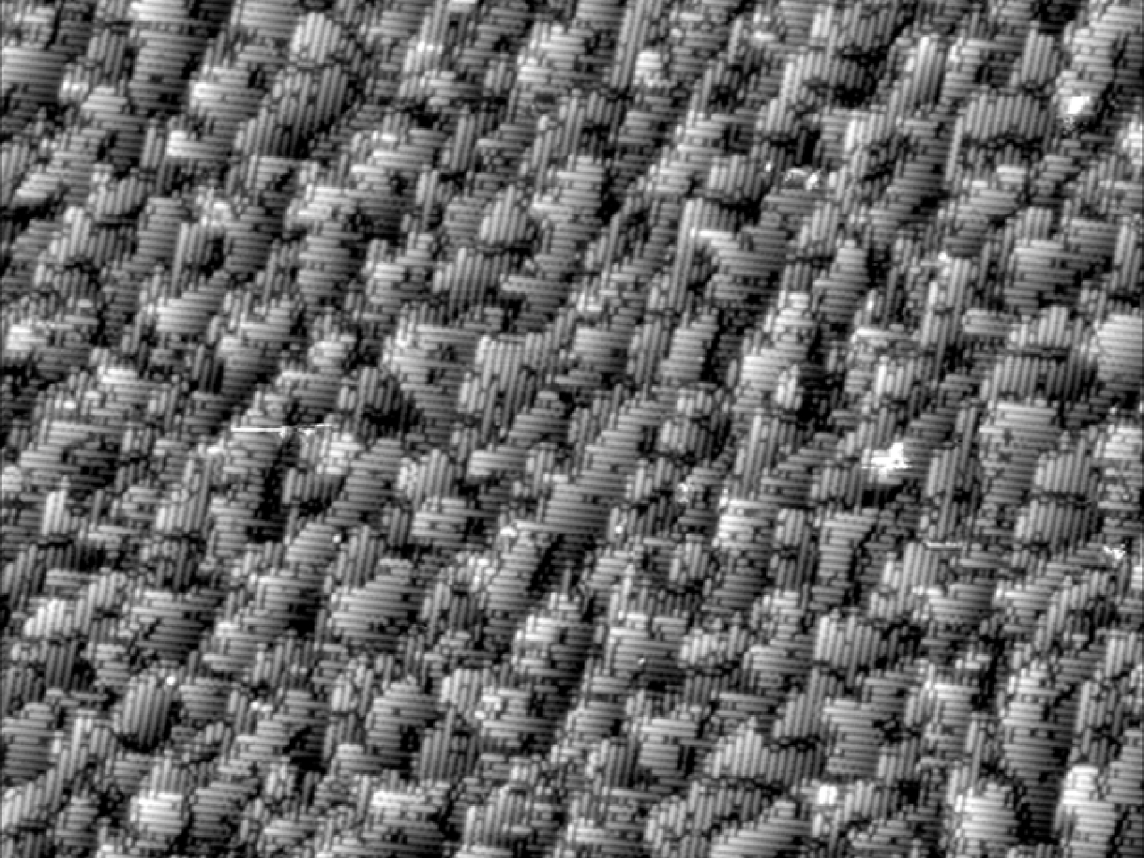 STM image of Si(100) surface showing the (2×1) reconstruction. Atomic scale point defects are visible. 