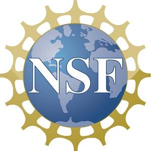 The NSF logo